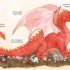 A Believer's Guide to Dragons