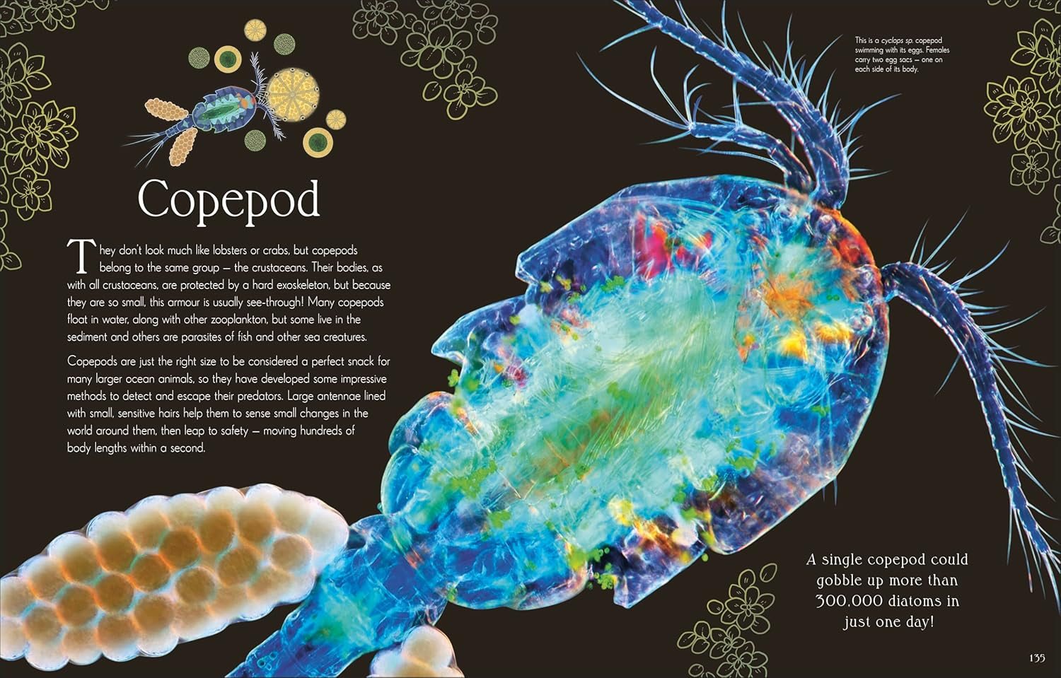 An Anthology of Micro Life
