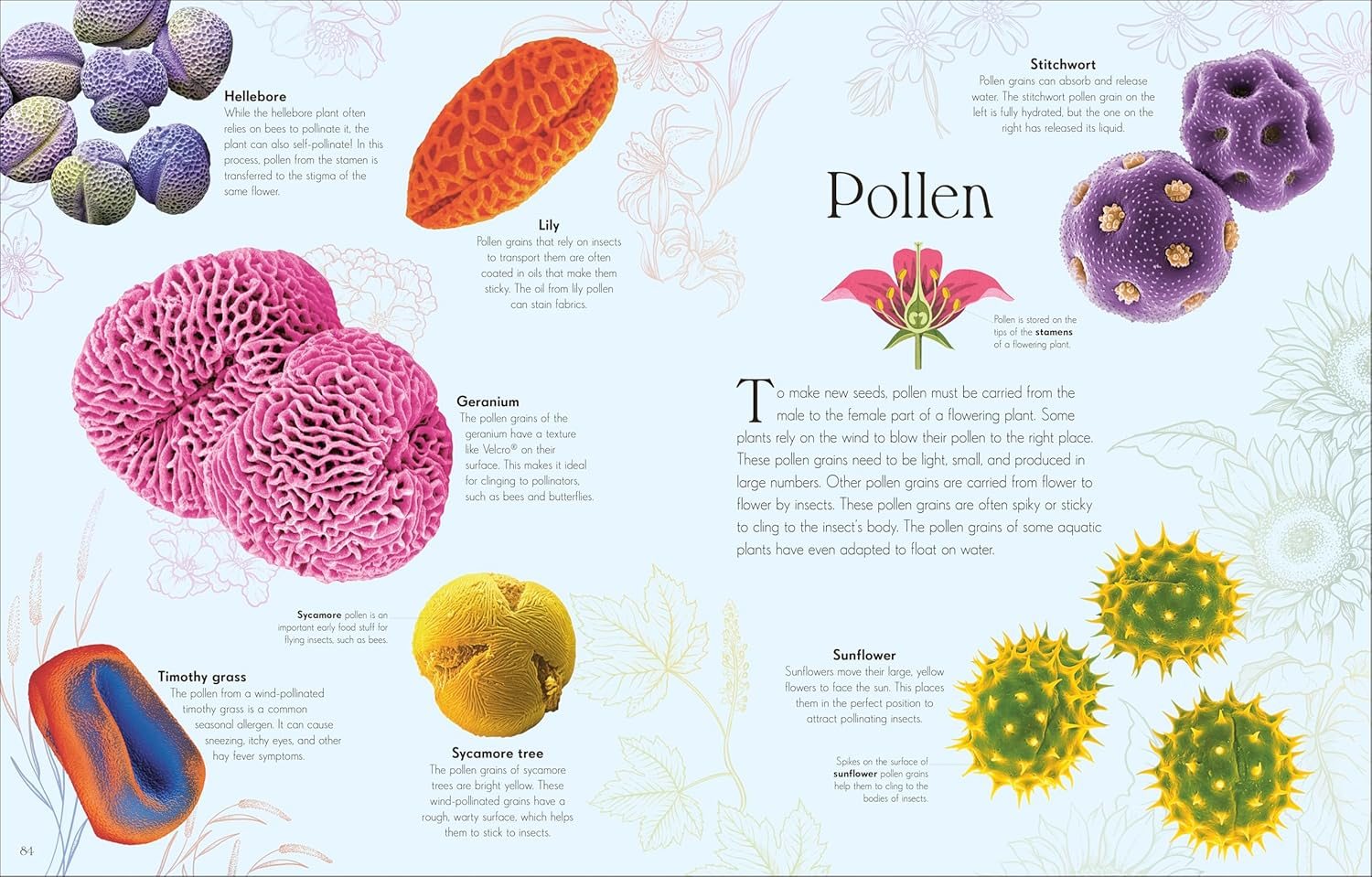 An Anthology of Micro Life