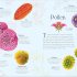 An Anthology of Micro Life
