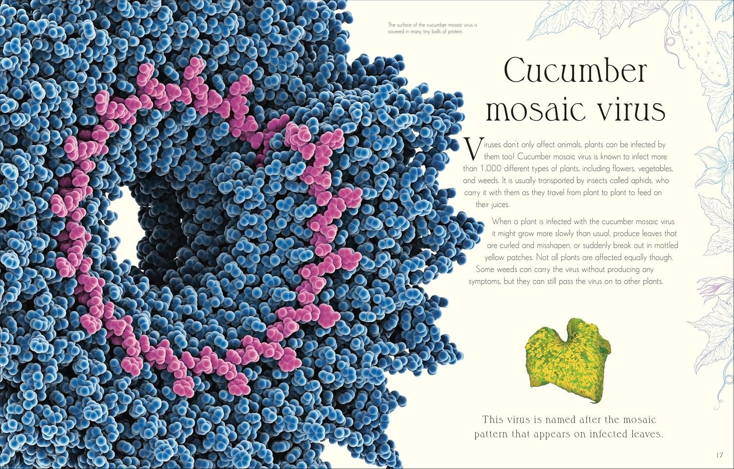 An Anthology of Micro Life