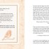 The Cosy Commonplace Book