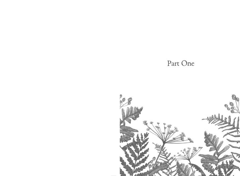 Raising Hare (Children's Edition)