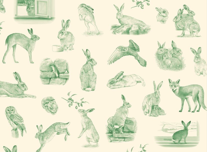 Raising Hare (Children's Edition)