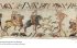The Bayeux Tapestry: Fold-Out Edition