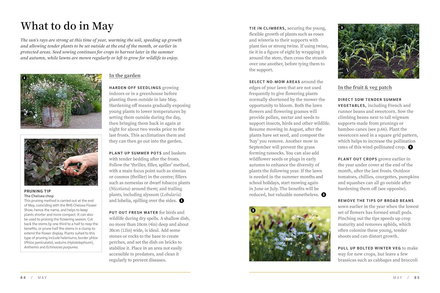 RHS The Garden Almanac 2027