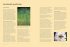 RHS The Garden Almanac 2027