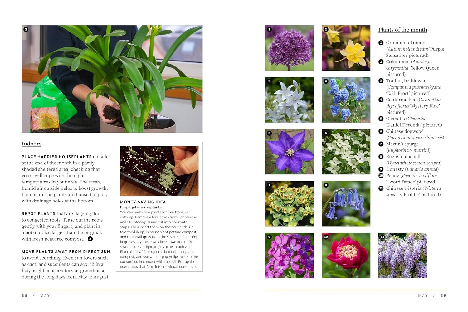 RHS The Garden Almanac 2027