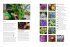 RHS The Garden Almanac 2027