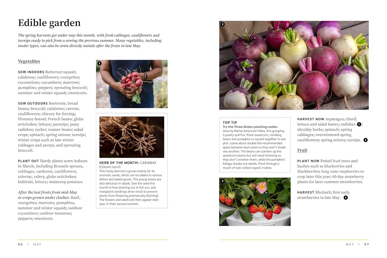 RHS The Garden Almanac 2027